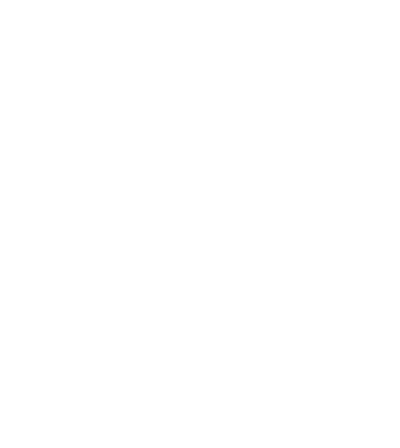 IDQ 20-years-inovation logo