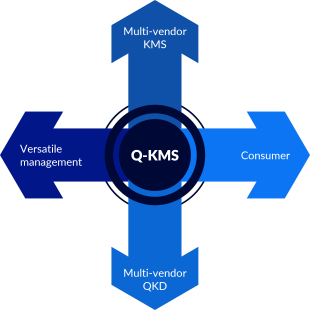 Quantum KMS roles