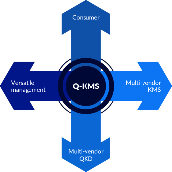 quantum kms roles
